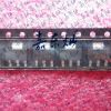 Accessoire USB - Ref 451351