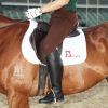 Article sports equestres - Ref 1379037