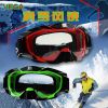 Article sports equestres VEGA - Ref 1379645