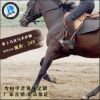 Article sports equestres - Ref 1380112