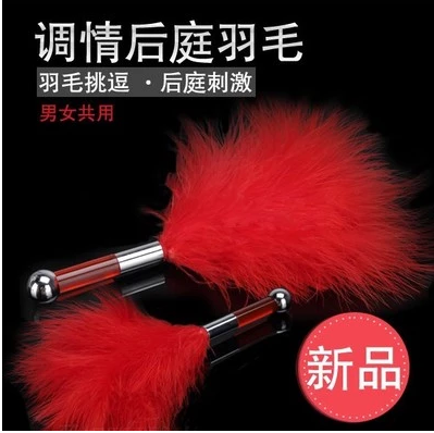 Article sports equestres - Ref 1382346
