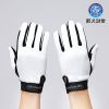 Article sports equestres - Ref 1382449