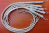 Article sports equestres - Ref 1382961