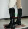 Article sports equestres WINHORSE - Ref 1383968