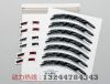 Autocollant pour vélo ZIPP - Ref 2289234
