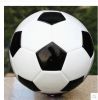Ballon de foot - Ref 5025