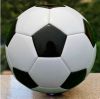 Ballon de foot - Ref 5051
