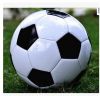 Ballon de foot - Ref 5495