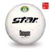 Ballon de foot - Ref 5519