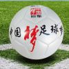 Ballon de foot - Ref 5565