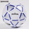 Ballon de foot - Ref 5651