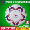 Ballon de foot - Ref 5780