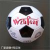 Ballon de foot - Ref 6056