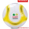 Ballon de foot - Ref 6173