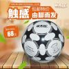 Ballon de foot - Ref 6386