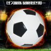 Ballon de foot - Ref 6583