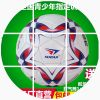 Ballon de foot - Ref 6690