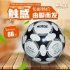 Ballon de foot - Ref 6717