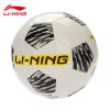 Ballon de foot - Ref 6840