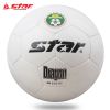 Ballon de foot - Ref 7293