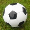 Ballon de football - Ref 5314