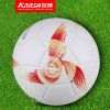 Ballon de football - Ref 5661