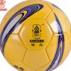 Ballon de football - Ref 6163