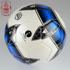 Ballon de football - Ref 6665