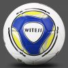 Ballon de football - Ref 6900