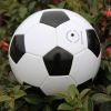 Ballon de football - Ref 7116