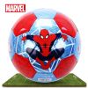 Ballon de football - Ref 7508