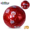 Ballon de football - Ref 7666