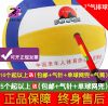 Ballon de volley-ball - Ref 2007959