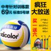 Ballon de volley-ball - Ref 2008076