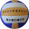 Ballon de volley-ball - Ref 2008476