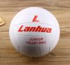 Ballon de volley-ball - Ref 2008794