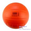 Ballon de volley-ball - Ref 2008883
