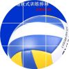 Ballon de volley-ball - Ref 2008887
