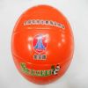 Ballon de volley-ball - Ref 2008921