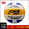 Ballon de volley-ball - Ref 2009000