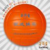 Ballon de volley-ball - Ref 2009079