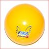 Ballon de volley-ball - Ref 2009083