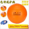 Ballon de volley-ball - Ref 2009252