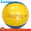 Ballon de volley-ball - Ref 2009552