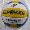 Ballon de volley-ball - Ref 2009613