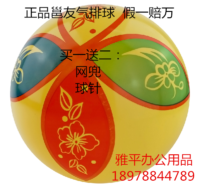 Ballon de volley-ball - Ref 2009616