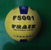 Ballon de volley-ball - Ref 2009999