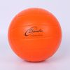 Ballon de volley-ball - Ref 2010012