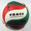 Ballon de volley-ball - Ref 2010023