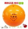 Ballon de volley-ball - Ref 2010120